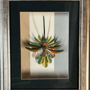 Colibri Verde 38x46