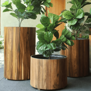 Natural Parota Planter With Fiberglass interior