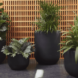 Saeta Planter