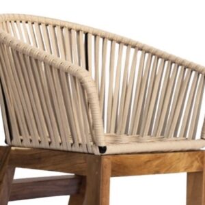 Lulu Teak Outdoor Chair