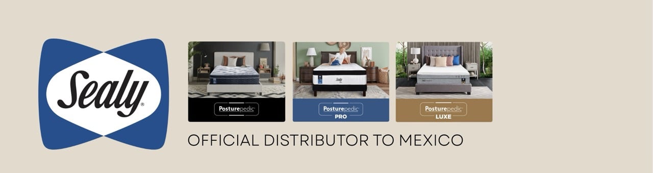 Turnkey custom furniture packages in Cabo Sealy Landing Laptop Large